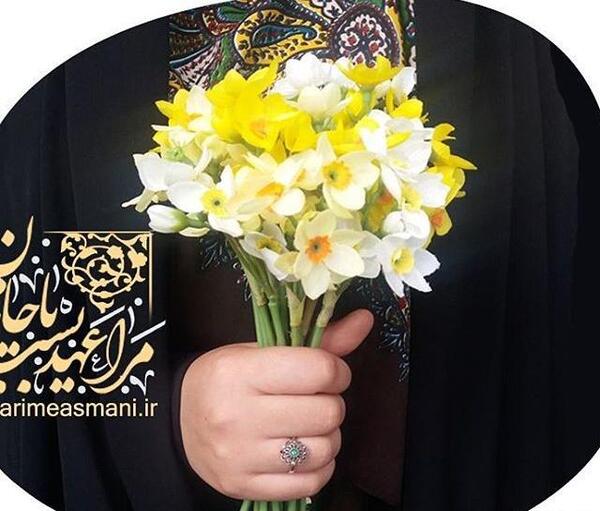 عکس گل نرگس با دختر چادری