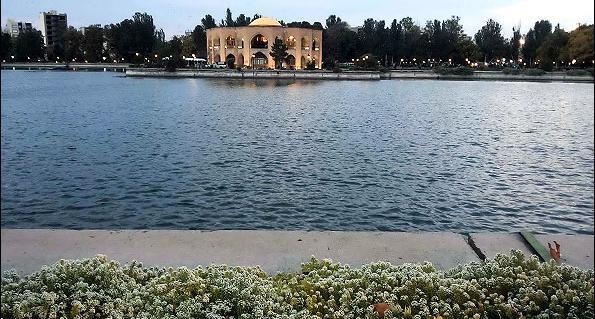 عکس شاهگلی در تبریز