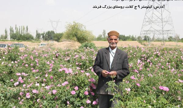 عکس روستای فرخد