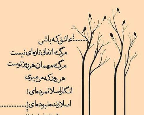 عکس پروفایل فانتزی عارفانه