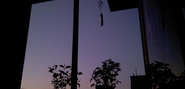 عکس گرگ و میش صبح