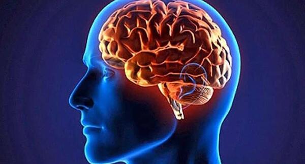 عکس فعالیت ذهنی