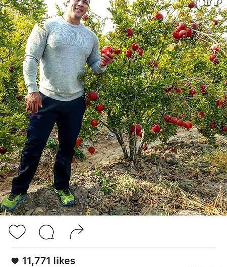 عکسهای محراب فاطمی