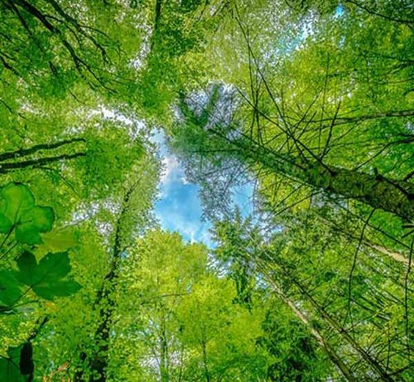 عکس طبیعت زیبای شهسوار