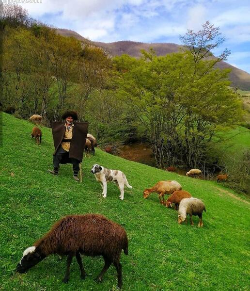 عکس طبیعت زیبای شهسوار