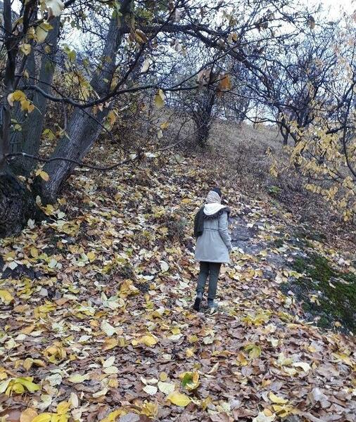 عکس روستای شیلاندر