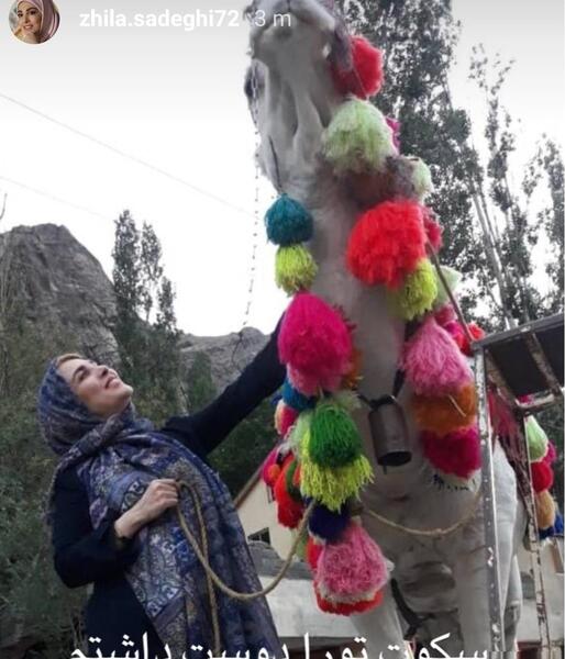 عکس استوری ژیلا صادقی