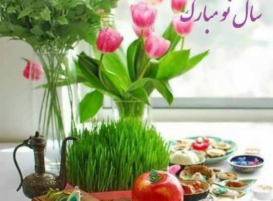 عکس گل سال نو