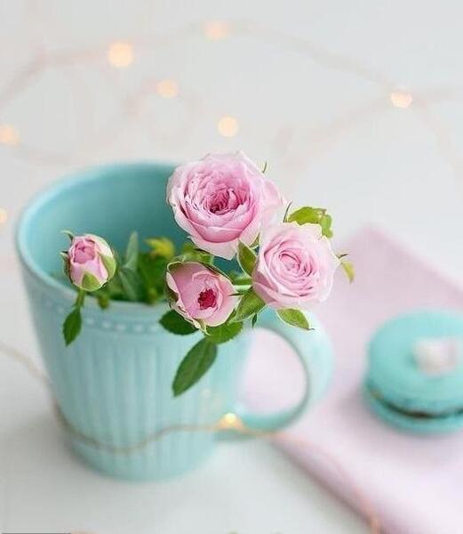 عکس خاص و زیبا گل