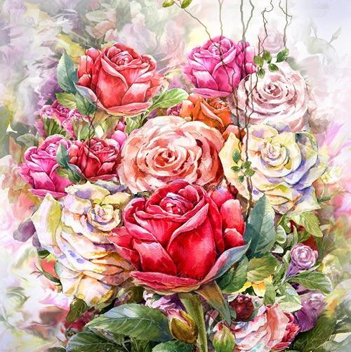 عکس گل صد برگ