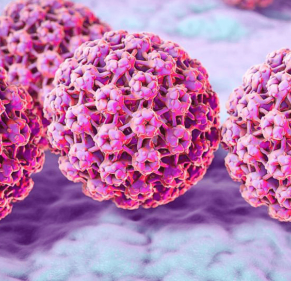 عکس ویروس hpv