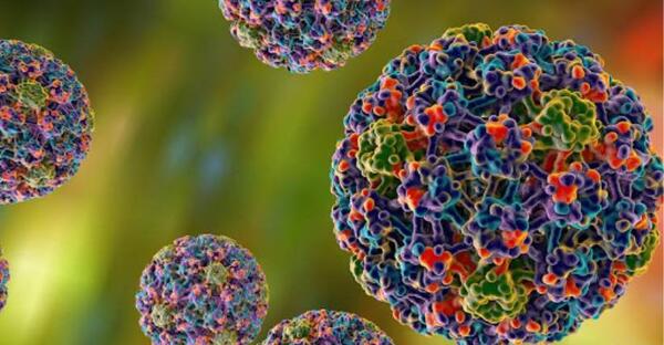 عکس ویروس hpv