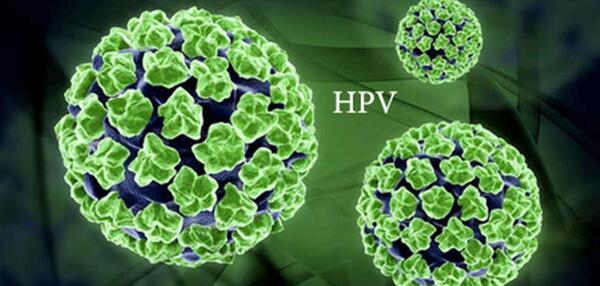 عکس ویروس hpv