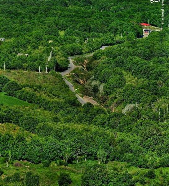 عکس زیبا شمال