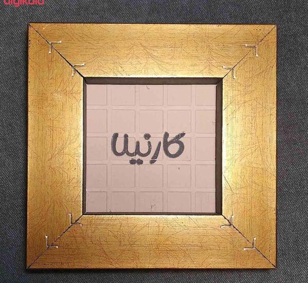 عکس روباه طلایی