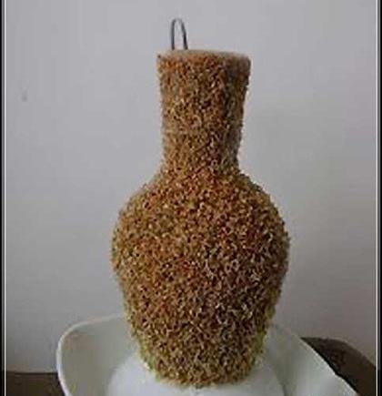 عکس سبزه عید روی کوزه