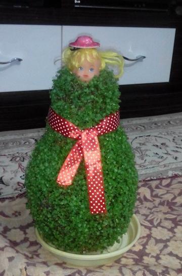 عکس سبزه عید روی کوزه