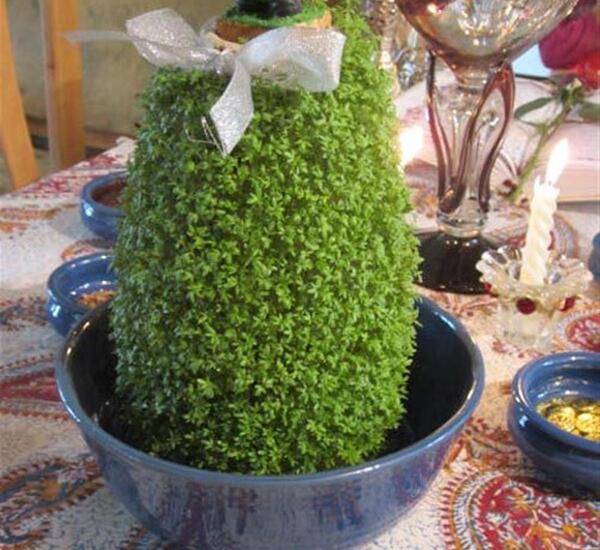 عکس سبزه عید روی کوزه
