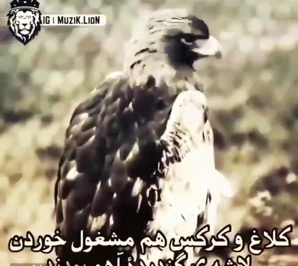 عکس وضعیت واتساپ جالب