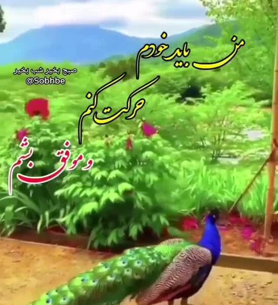 عکس وضعیت واتساپ جالب