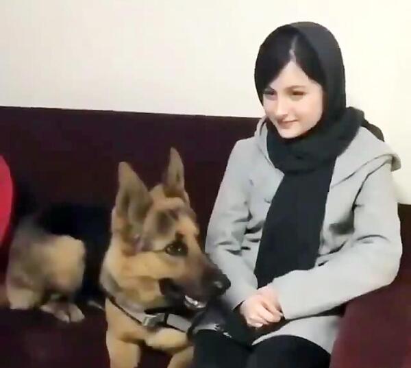 عکس گربه سارا و نیکا