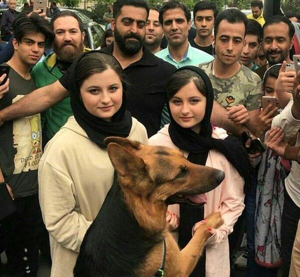عکس گربه سارا و نیکا