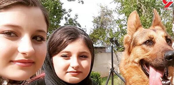 عکس گربه سارا و نیکا
