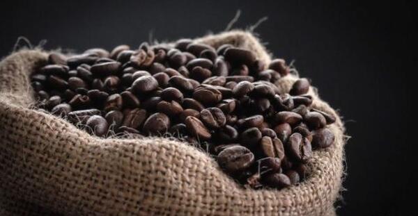 عکس فیل در فال قهوه
