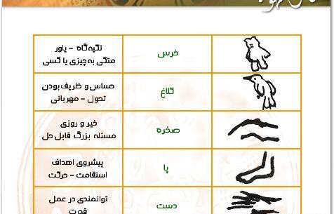 عکس فیل در فال قهوه