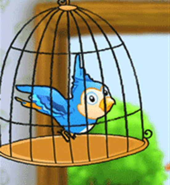 عکس دختر تنها در قفس