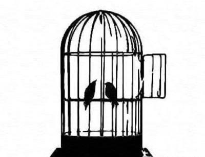 عکس دختر تنها در قفس