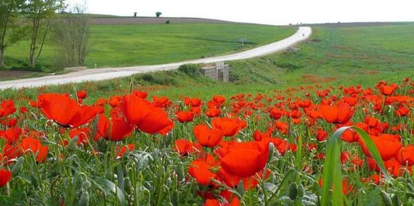 عکس جاهای دیدنی سمنان