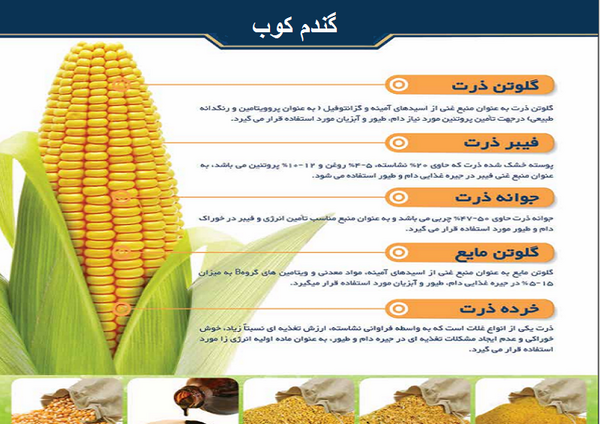 عکس پوسته ذرت