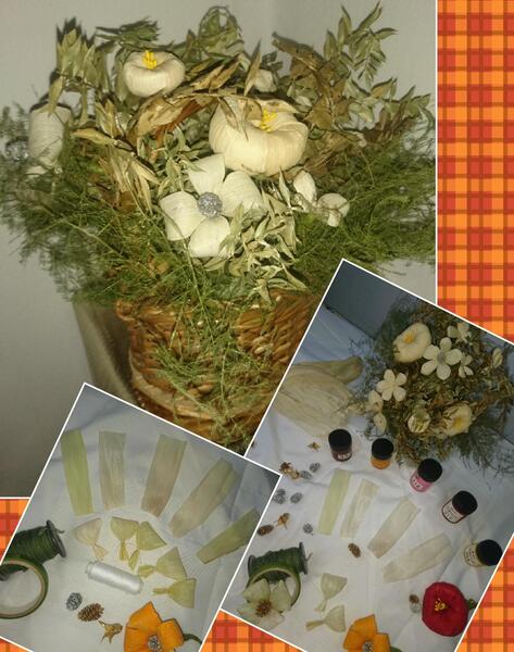 عکس پوسته ذرت