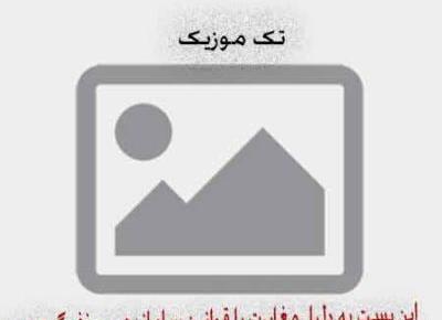 عکس مهراب گرگ پدر