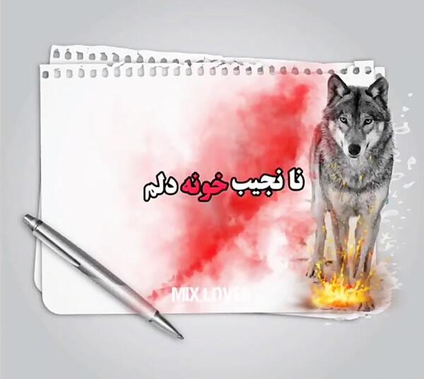 عکس مهراب گرگ پدر