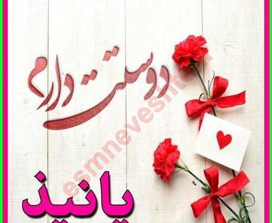 عکس نوشته ثمین جان دوستت دارم