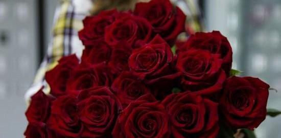 عکس گل های رز قرمز زیبا