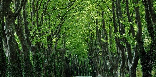 عکسهای طبیعت فرانسه