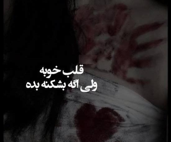 عکس گل شکست عشقی