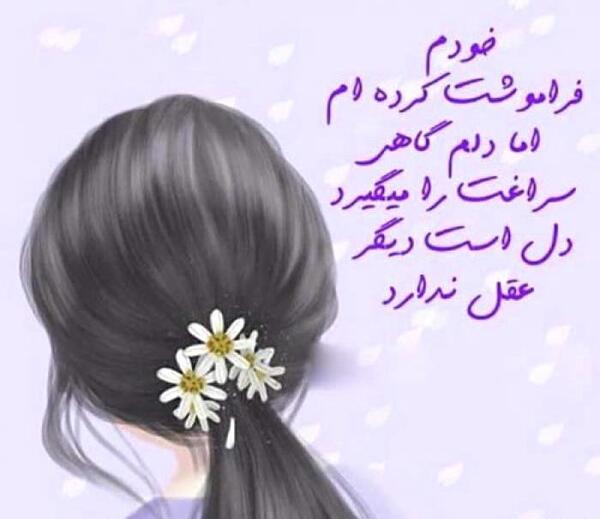 عکس گل شکست عشقی