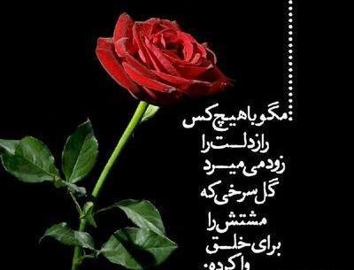 عکس گل شکست عشقی