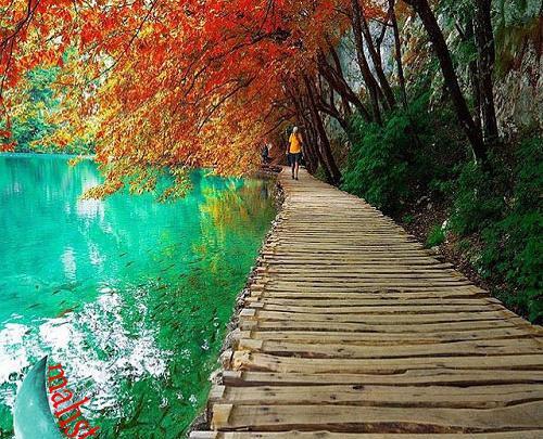 عکس طبیعت جدید
