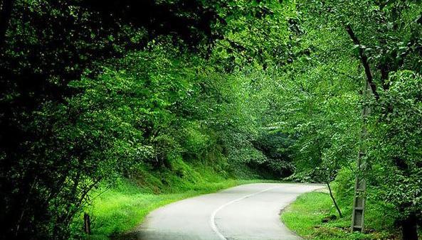 عکس طبیعت جدید