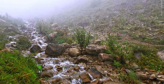 عکس طبیعت جواهرده