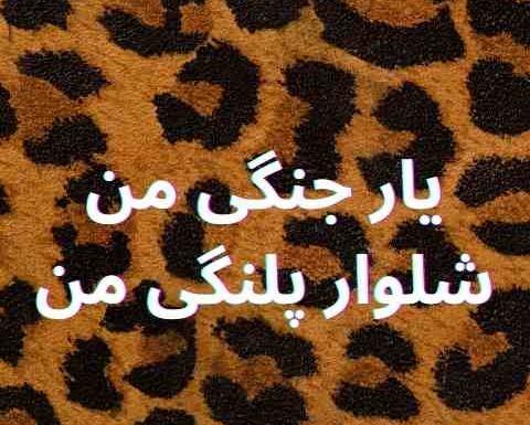 عکس وحید مرادی یار جنگی