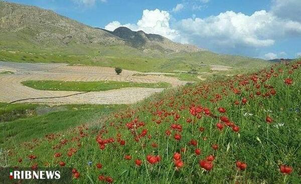 عکس بهار می آید