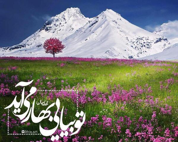 عکس بهار می آید