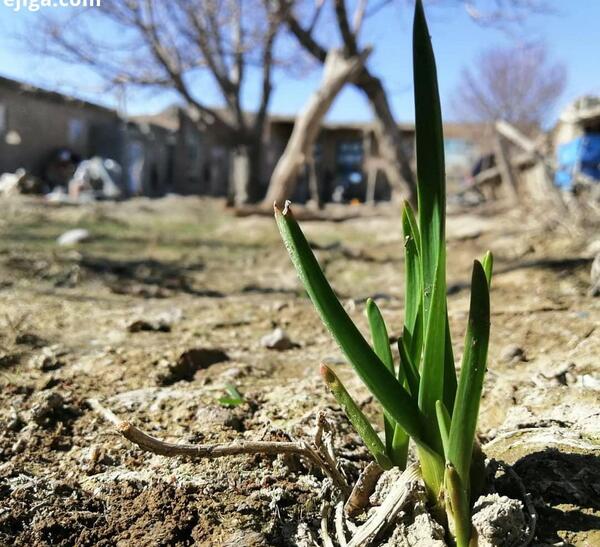 عکس بهار می آید