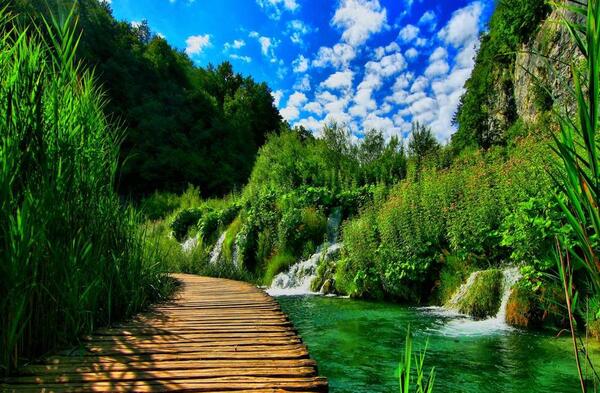عکس زیبای طبیعت کیفیت بالا